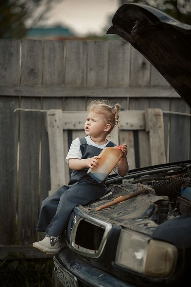 Портфолио для тендеров Ixora |Sale Easy