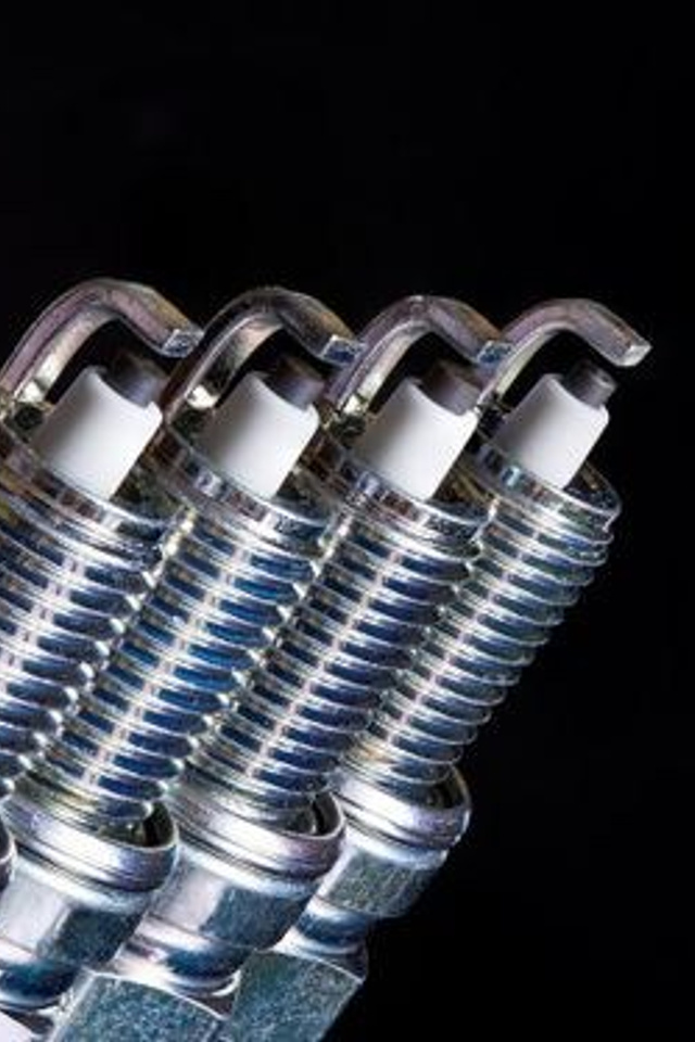 Портфолио для тендеров Ixora |Sale Easy