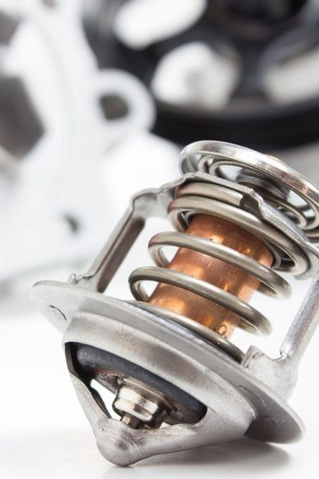 Портфолио для тендеров Ixora |Sale Easy