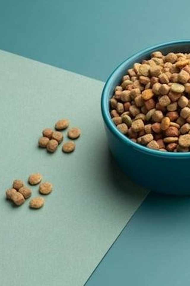 Предметная съемка для интернет, референсы товаров для животных