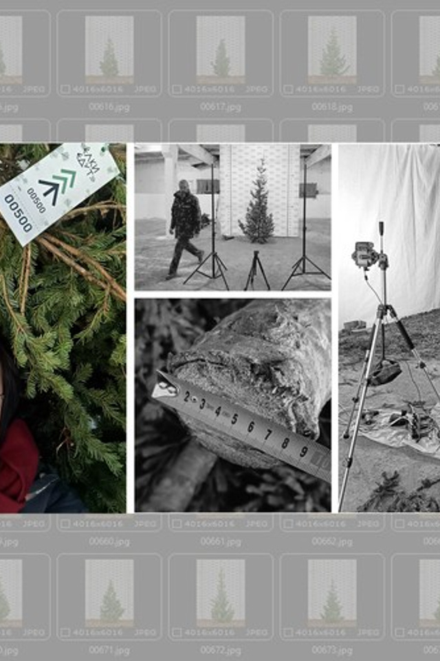 Блог. Предметный фотограф в Новосибирске Светлана Логинова