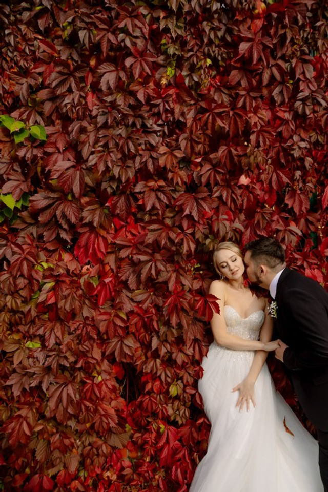 Алан & Екатерина