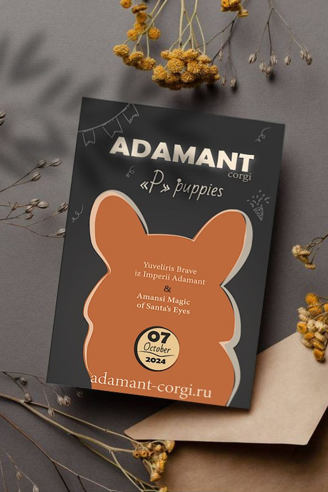 Презентации