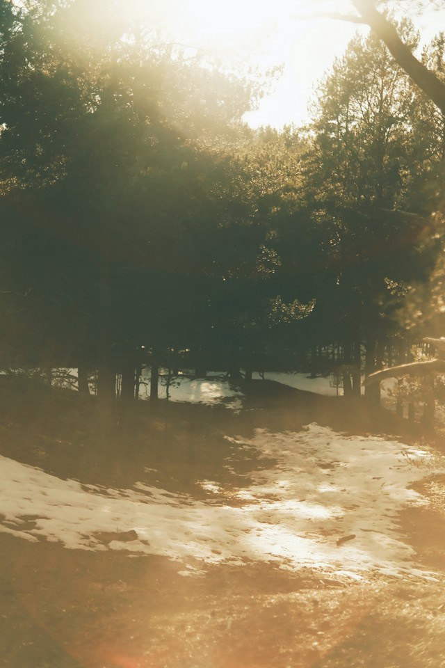 Природа. Visual artist