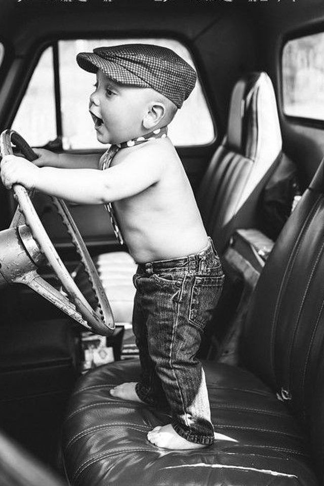 Портфолио для тендеров Ixora |Sale Easy