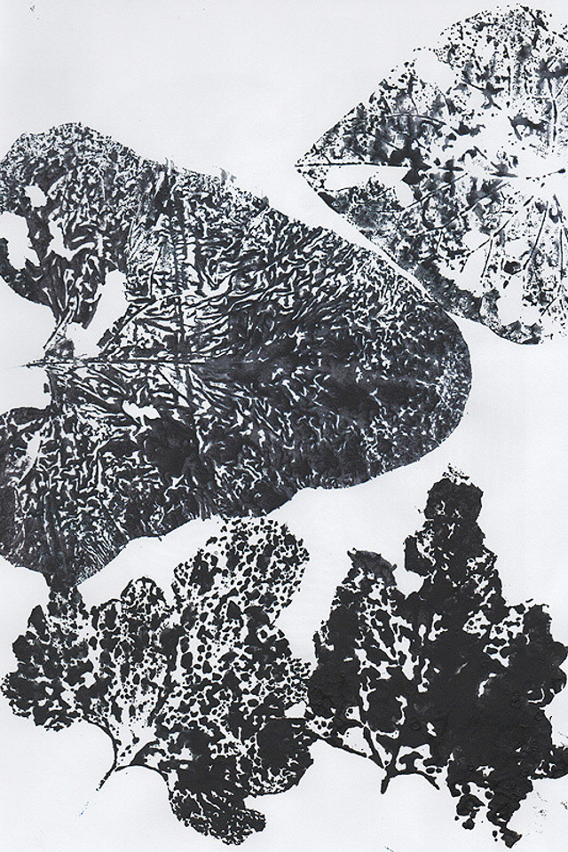 Фитопринты