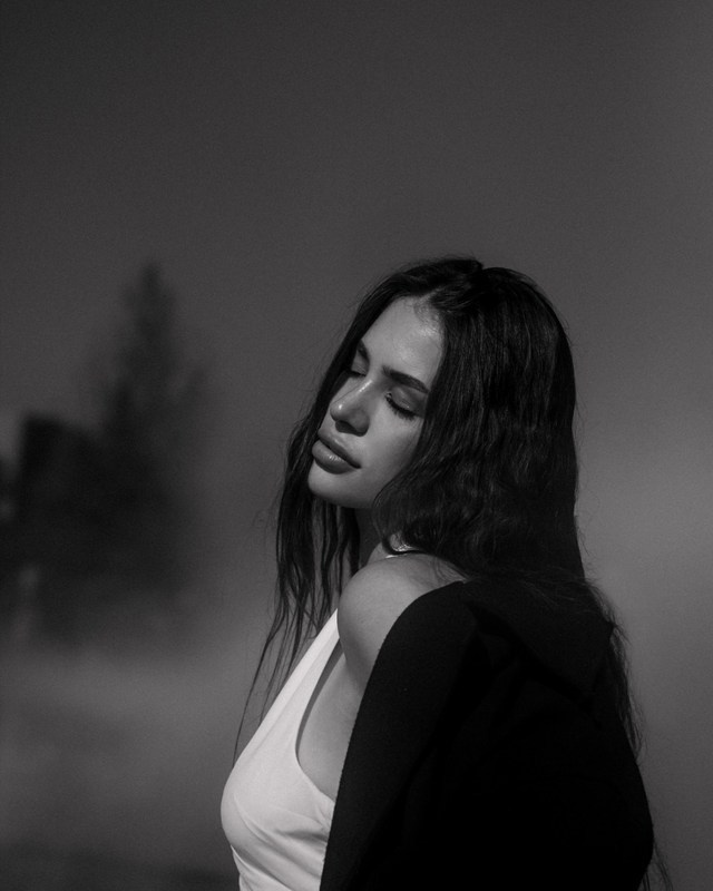 Dans la brume