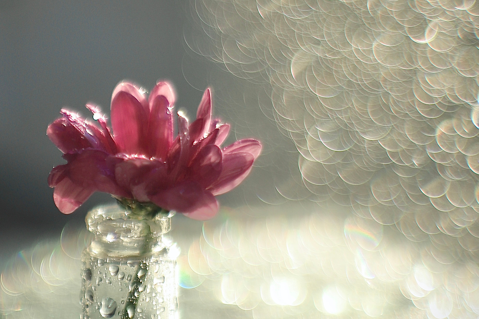 Обо мне. Главная