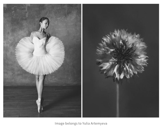 Press — design swan