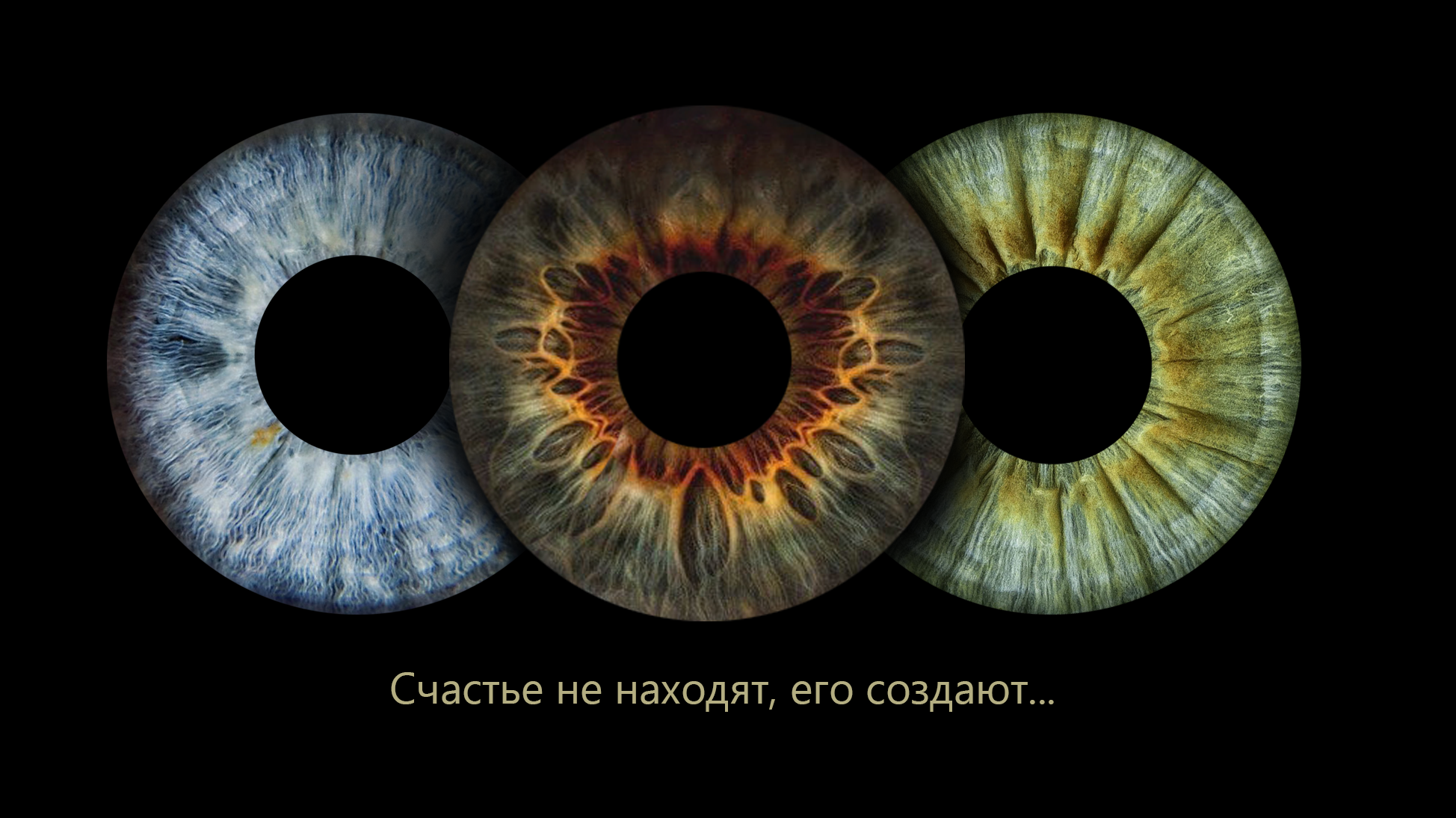 Товары и услуги. ShowLab