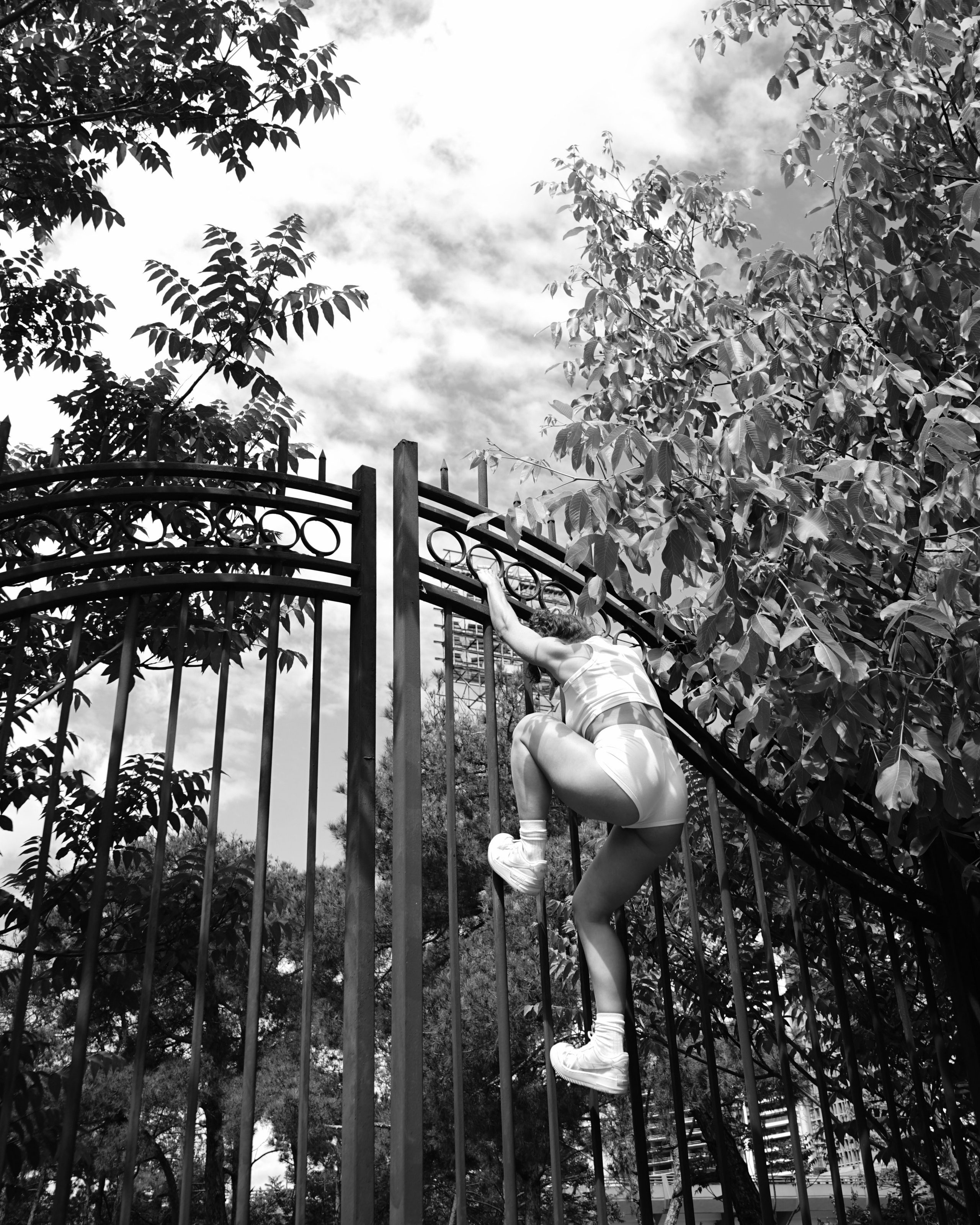 Photo art prints. Interier. Photographer in Georgia UAE Russia Nekit Fox