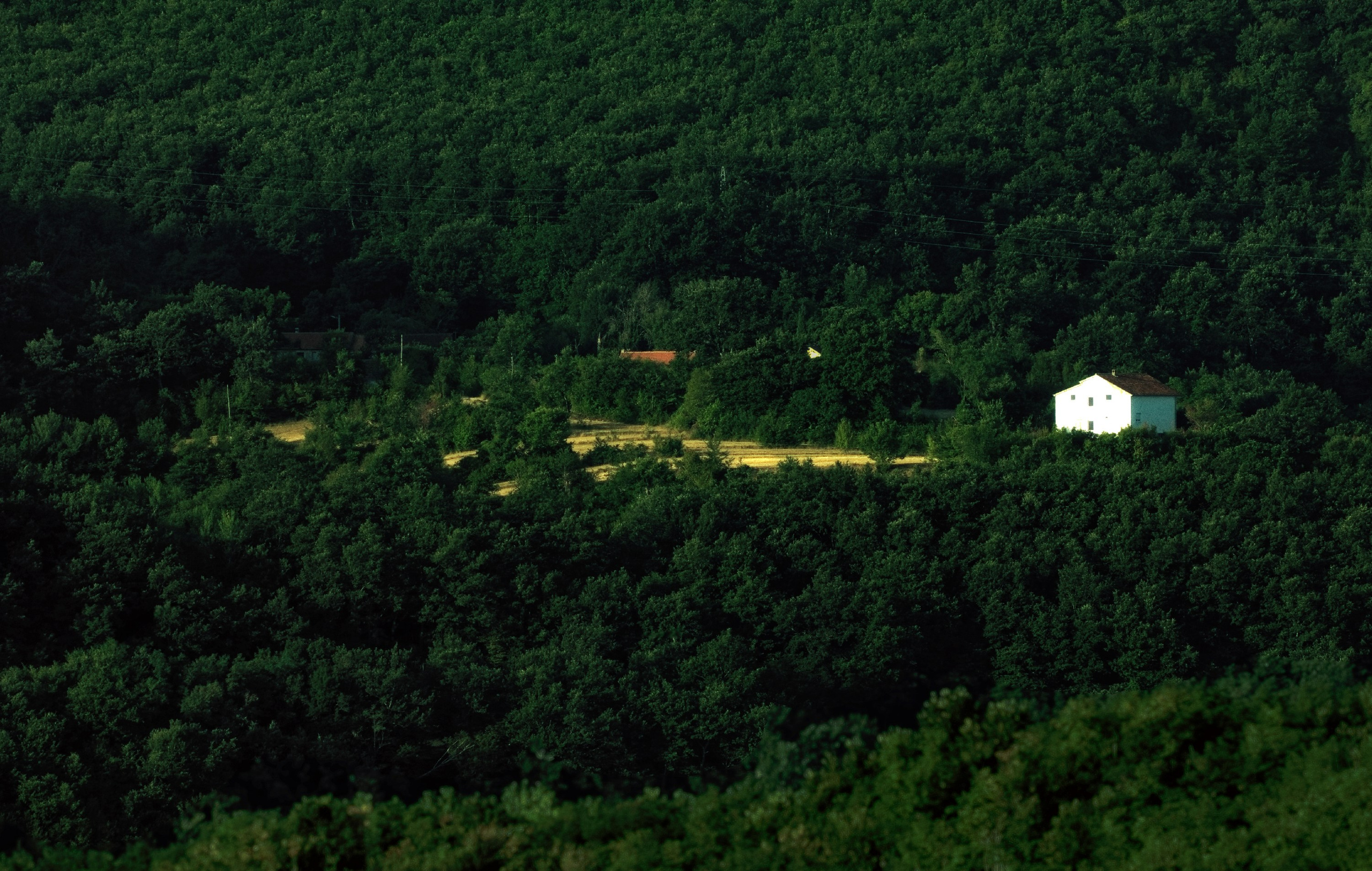 Белый дом среди зелёного леса: одинокий дом на холме, густые деревья, природный пейзаж, цветное фото, атмосферная фотография