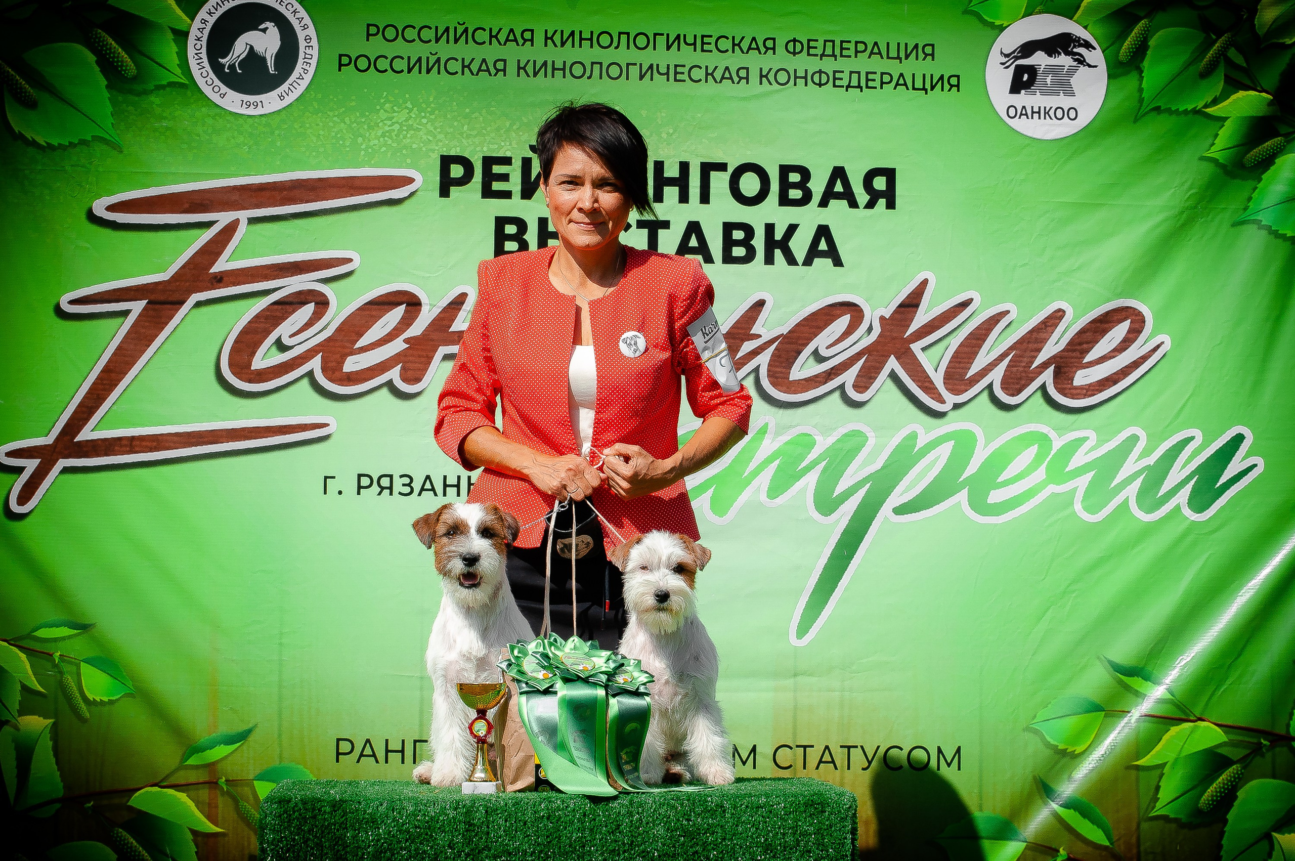The Jack Russell Terrier dog show. CANE MAESTRO — kennel Jack Russell Terrier