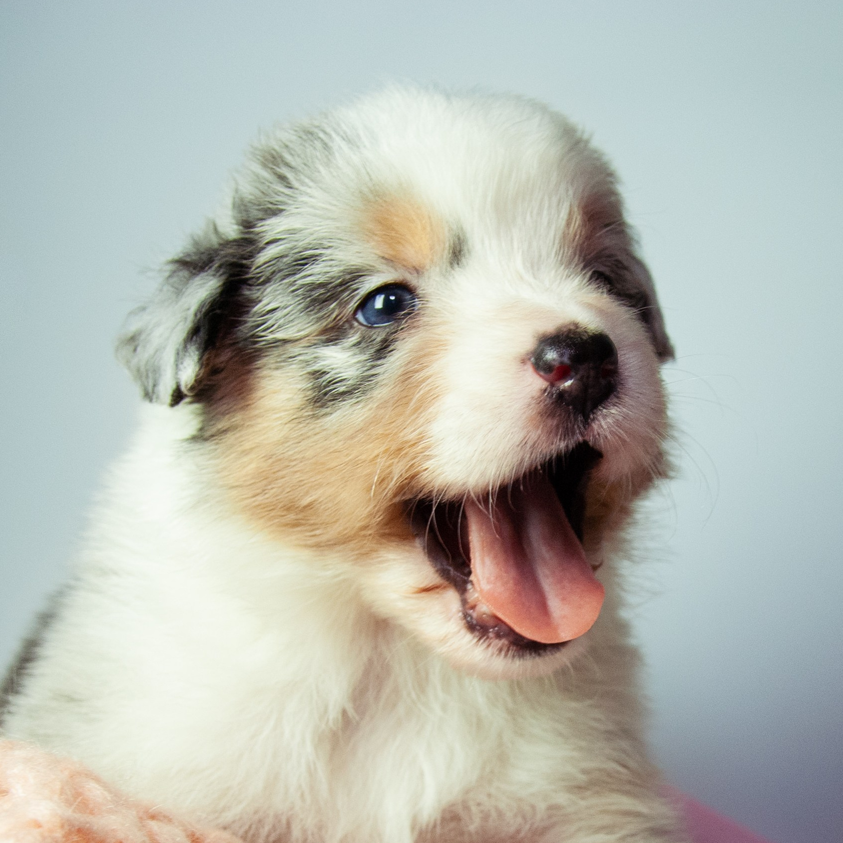 Услуги и цены. Кошенкова Мария: портретный и репортажный фотограф. Санкт-Петербург