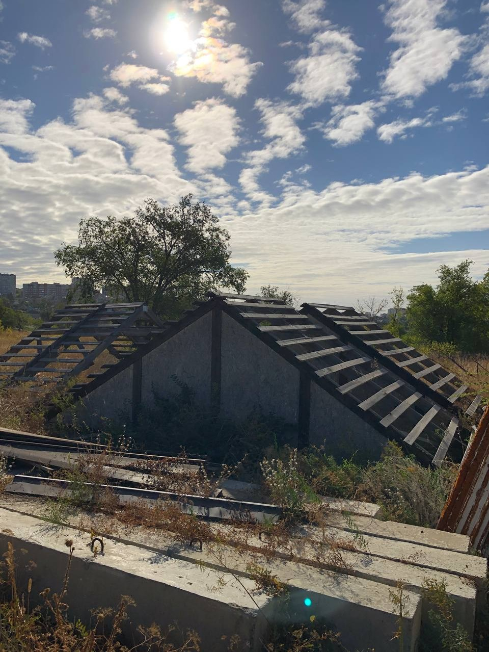 Творческая фотосессия. Фотограф Диана Одинцова в Волгограде