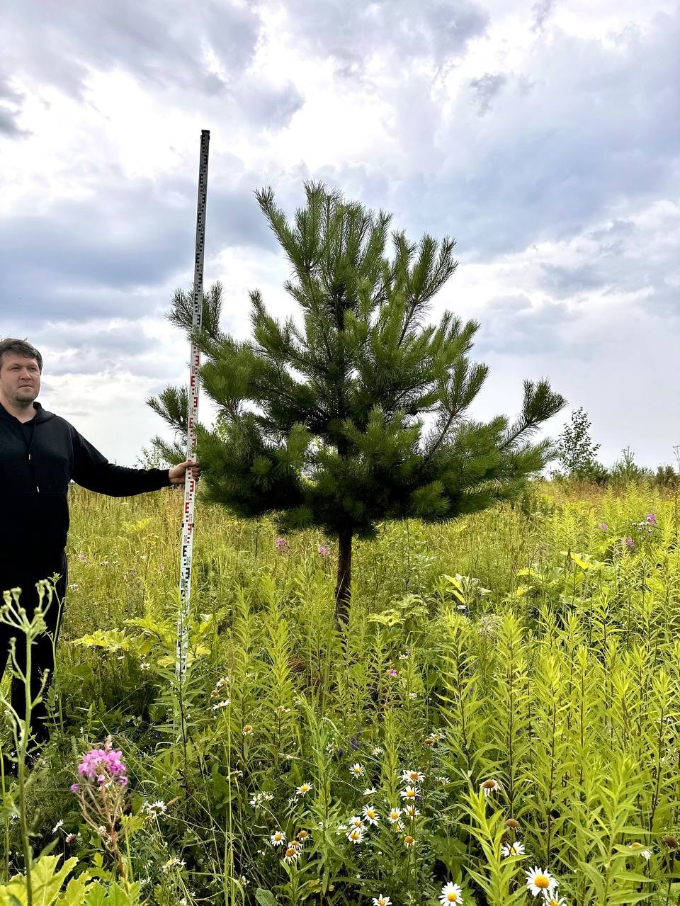 Крупномеры РФ