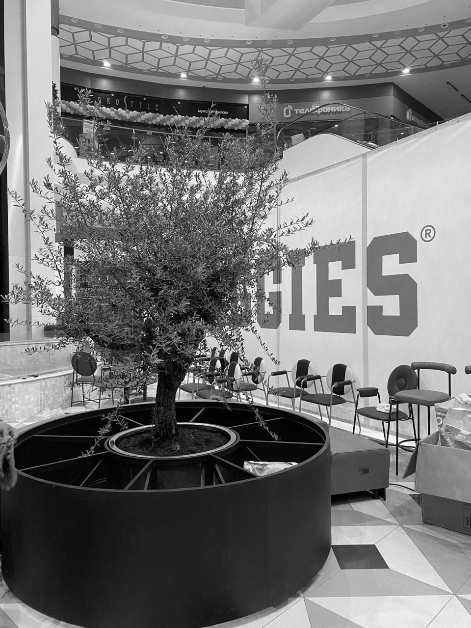 BIGGIES / кофейня, 650 м². Rezells Architects — студия дизайна жилых и коммерческих интерьеров