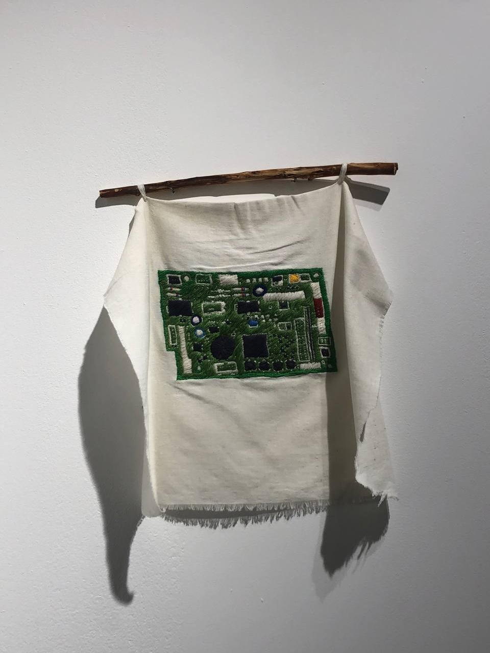 Аллигаторы. Elena Anosova is an award-winning visual artist