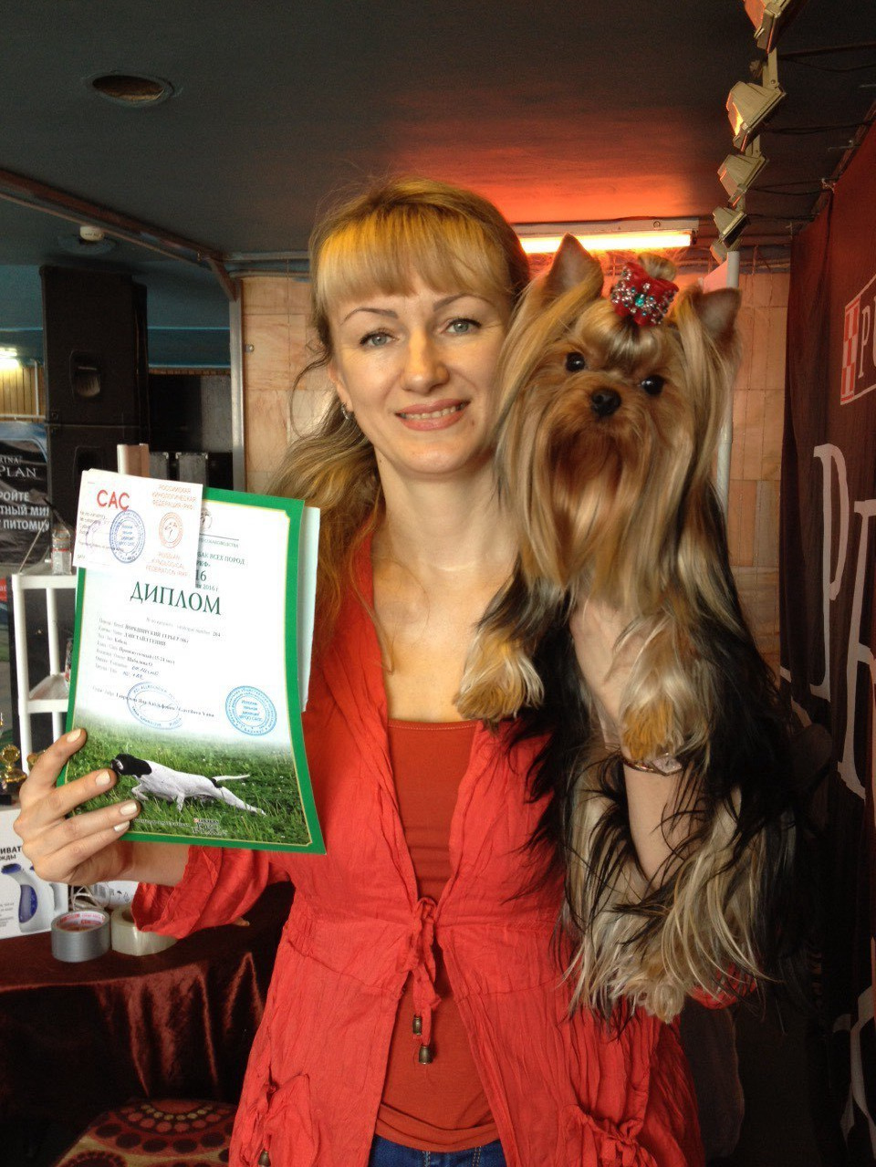 2016 г Результаты выставок. Питомник Йоркширских терьеров Дэнстайл в Санкт-Петербурге заводчик Тих
