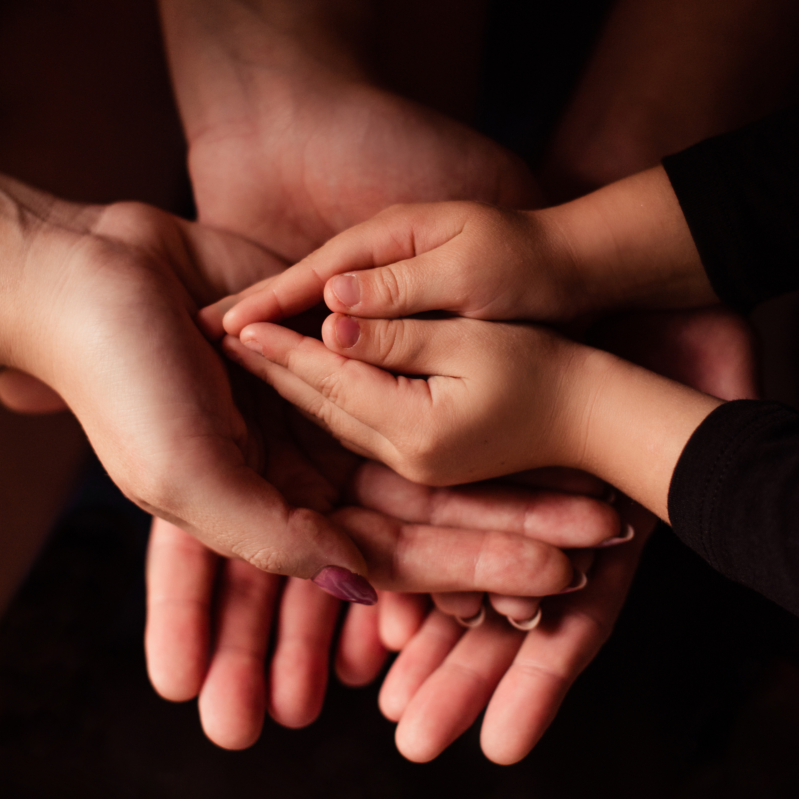 Услуги. Лебедева Вера фотограф беременности Москва