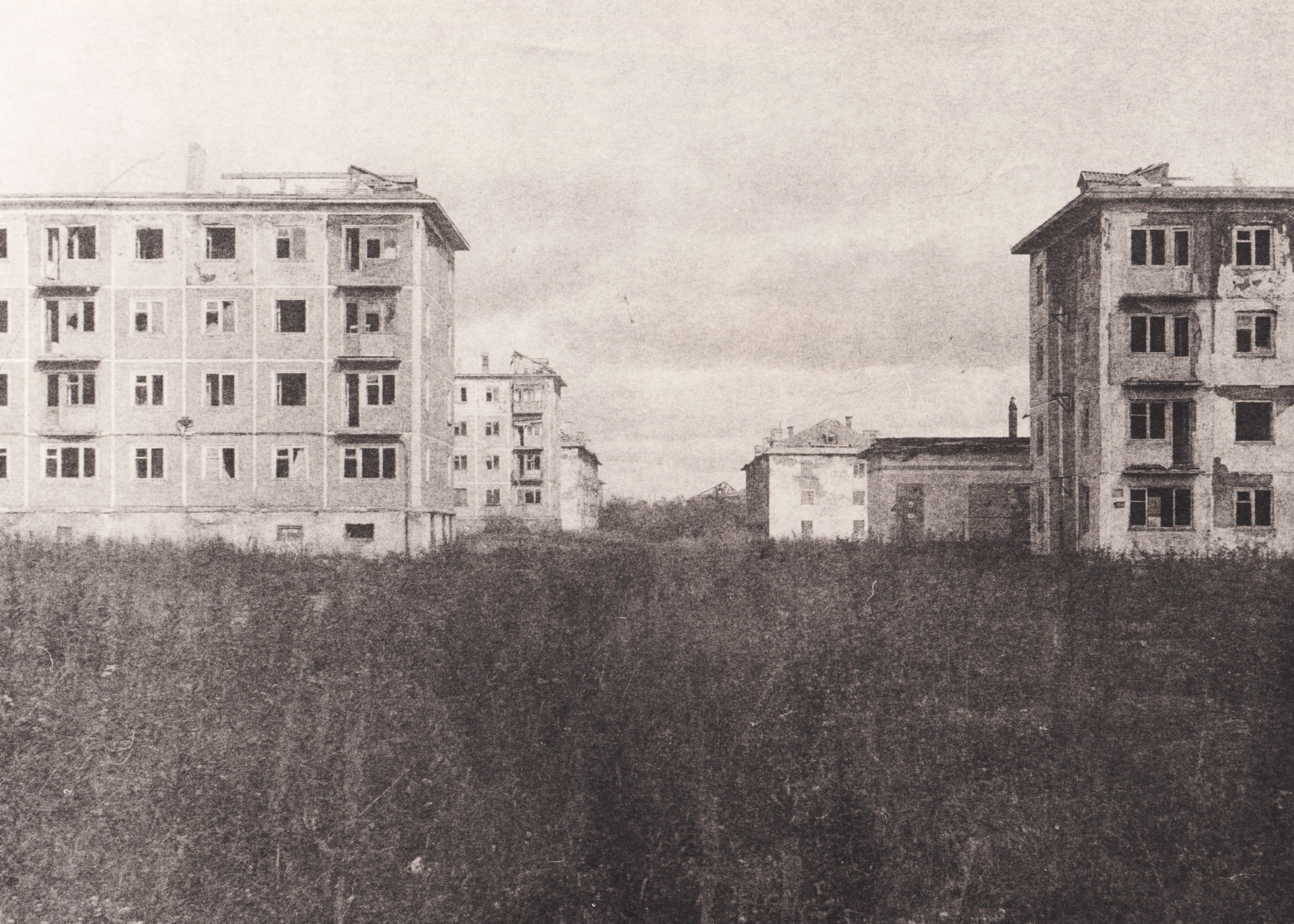 Ручные методы печати. Аналоговые отпечатки. Лит-печать. Татьяна Мищенко — фотохудожник. Междисциплинарный художник, основные медиумы: фотография, графика, коллаж. Портретный фотограф город Дубна