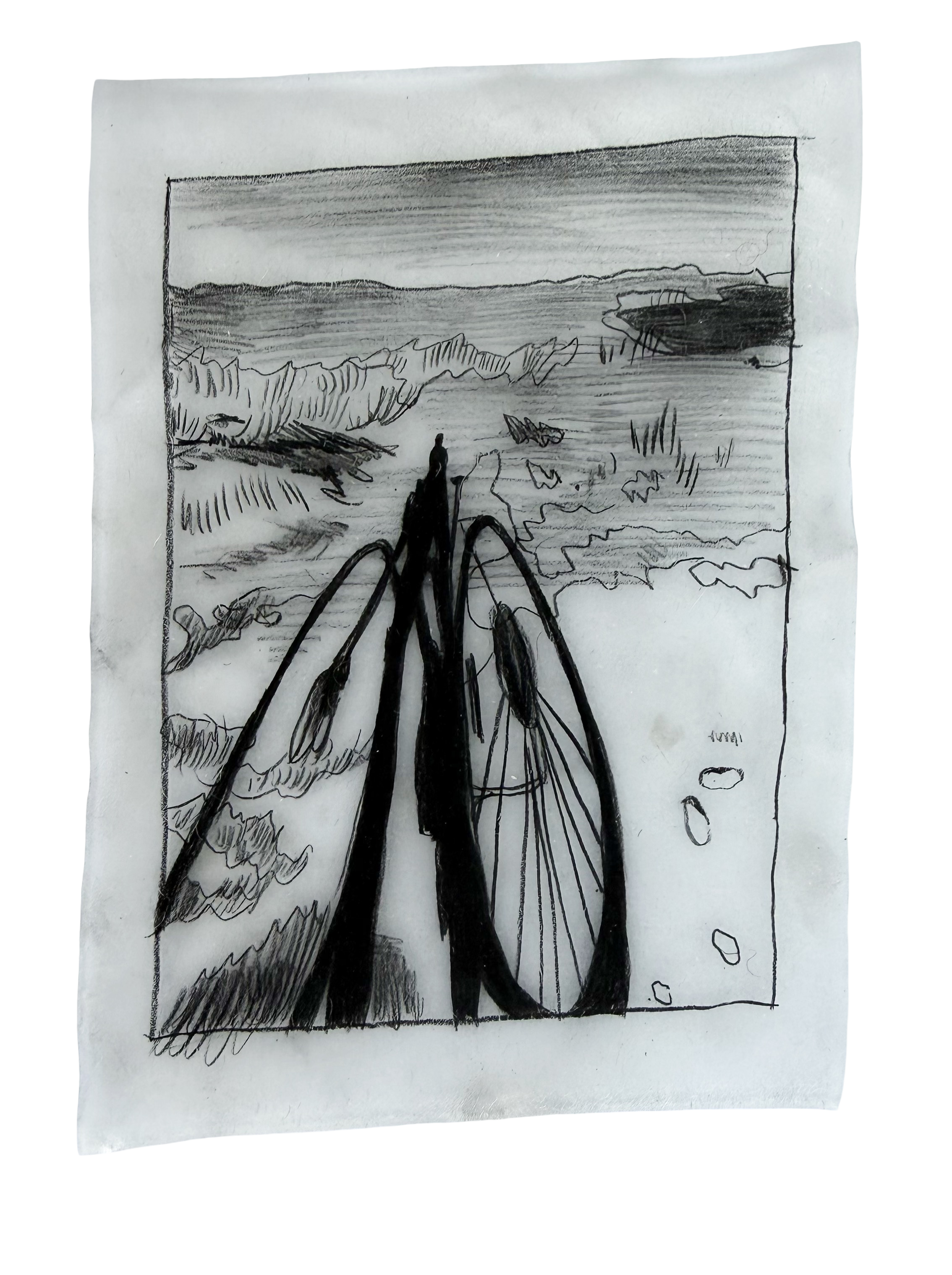 «Enjoy the Ride» Просунцова Дарья. PUNCTUM