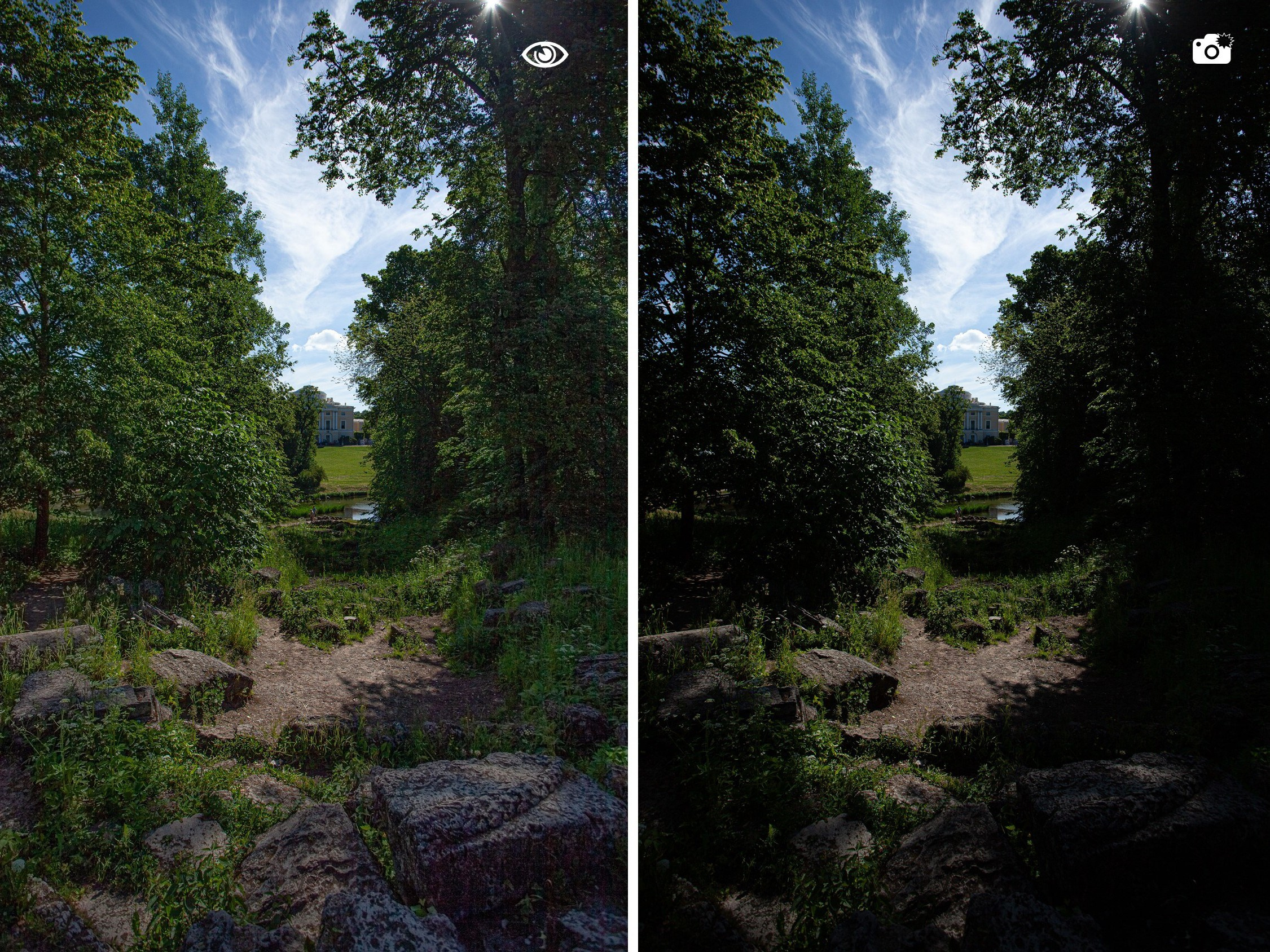 съёмка против солнца