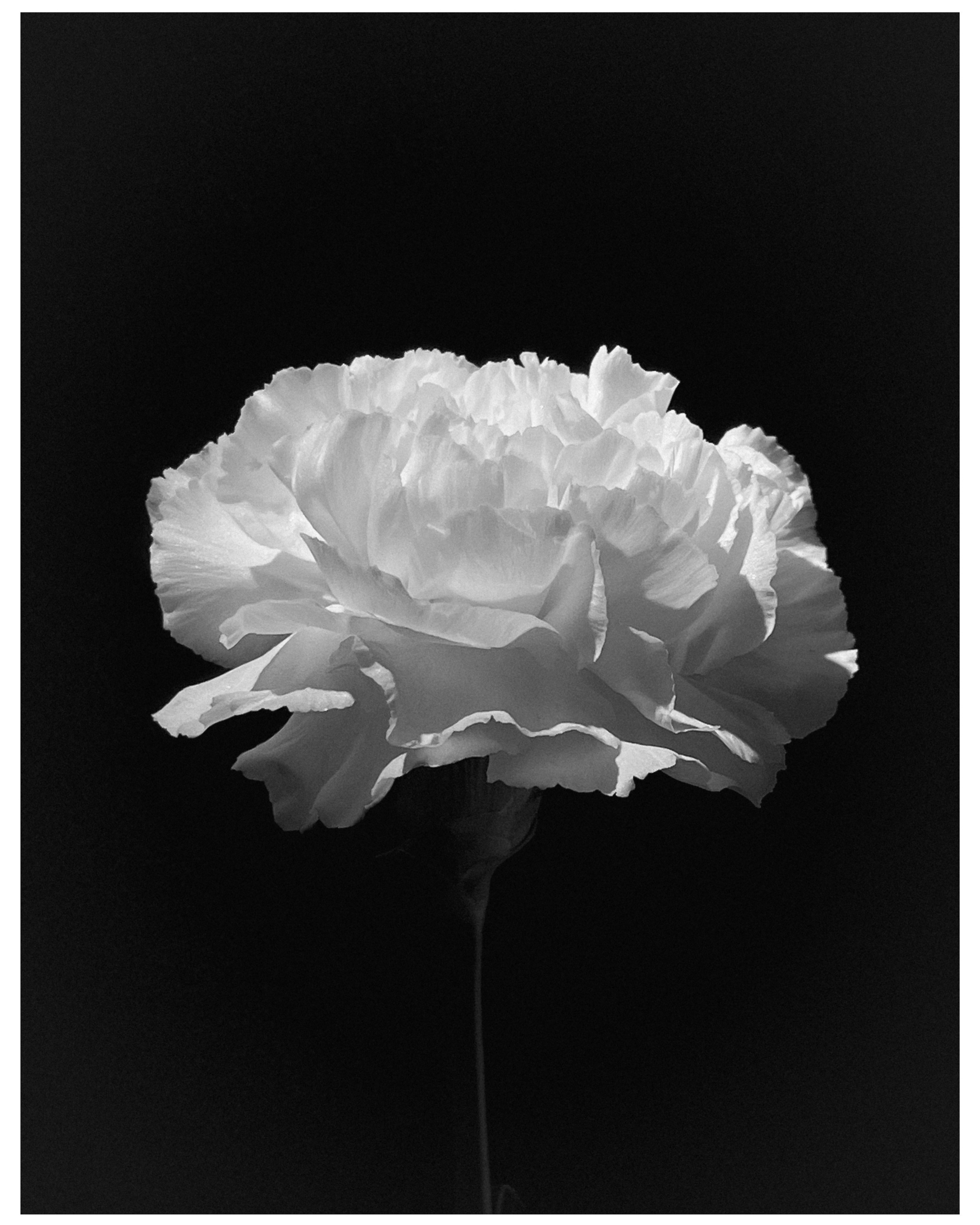 Портретный фотограф | Олеся Комарова | Екатеринбург