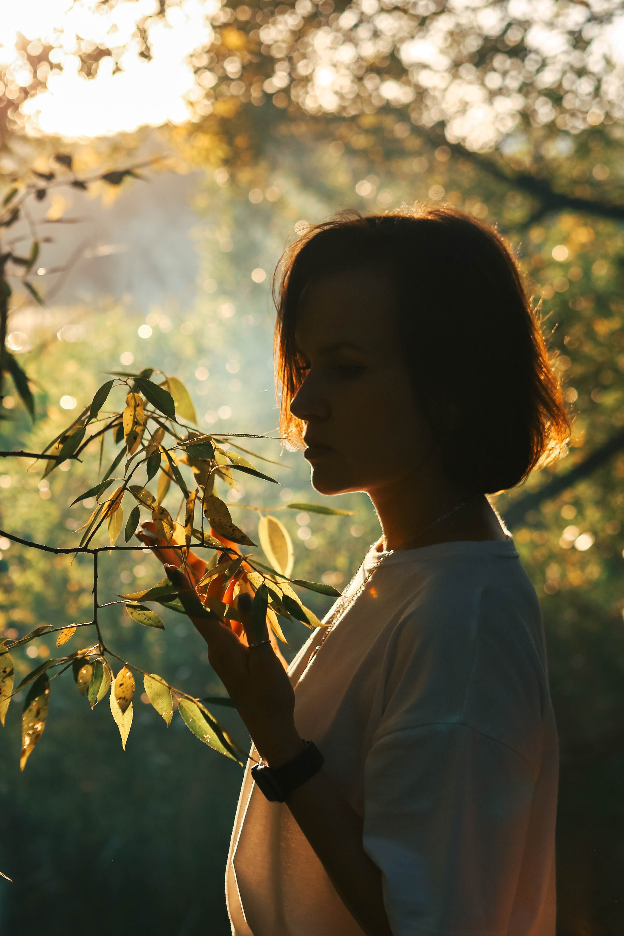 подробнее о съемках