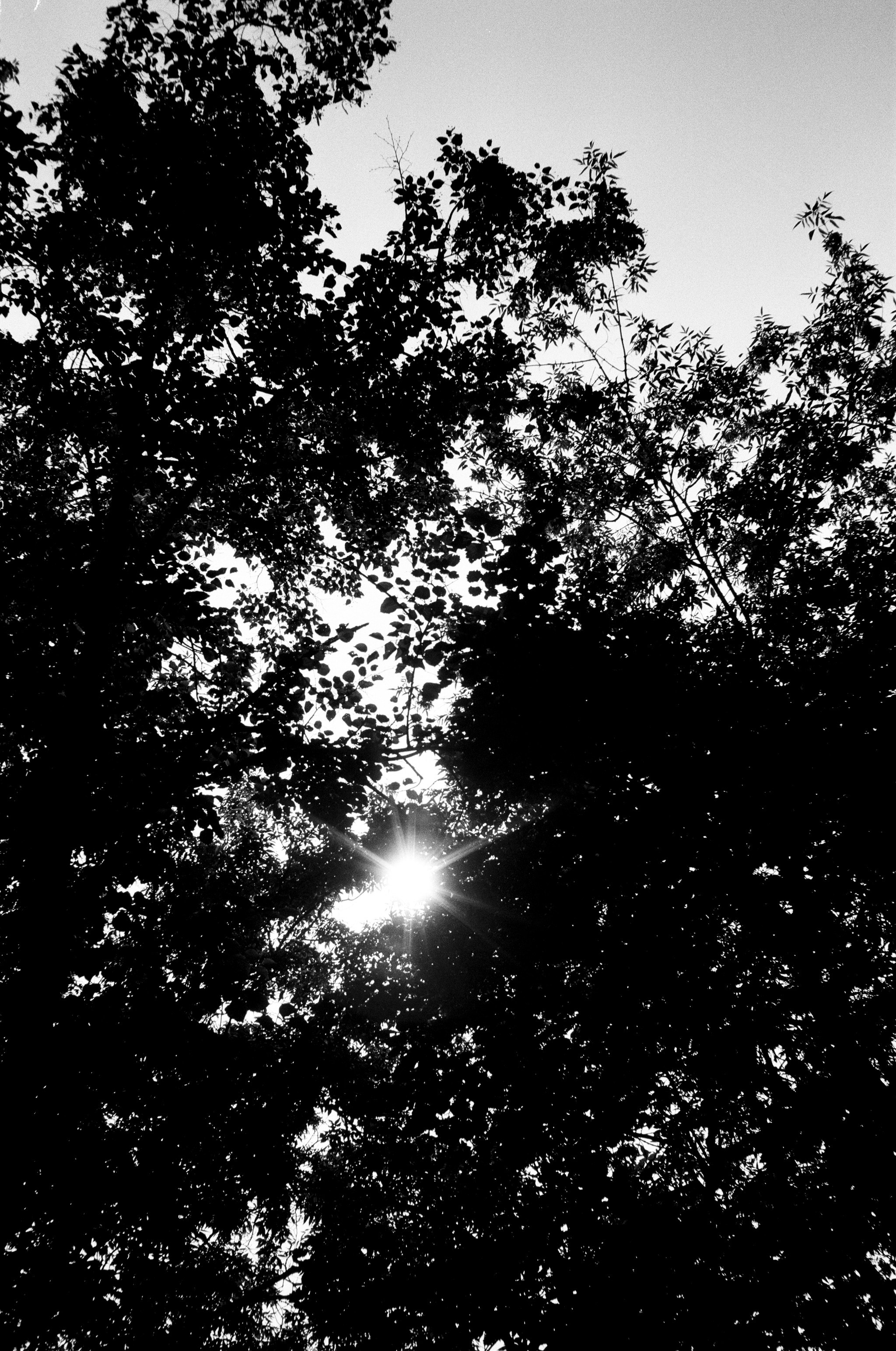 Портретный и предметный фотограф Елизавета Федорова