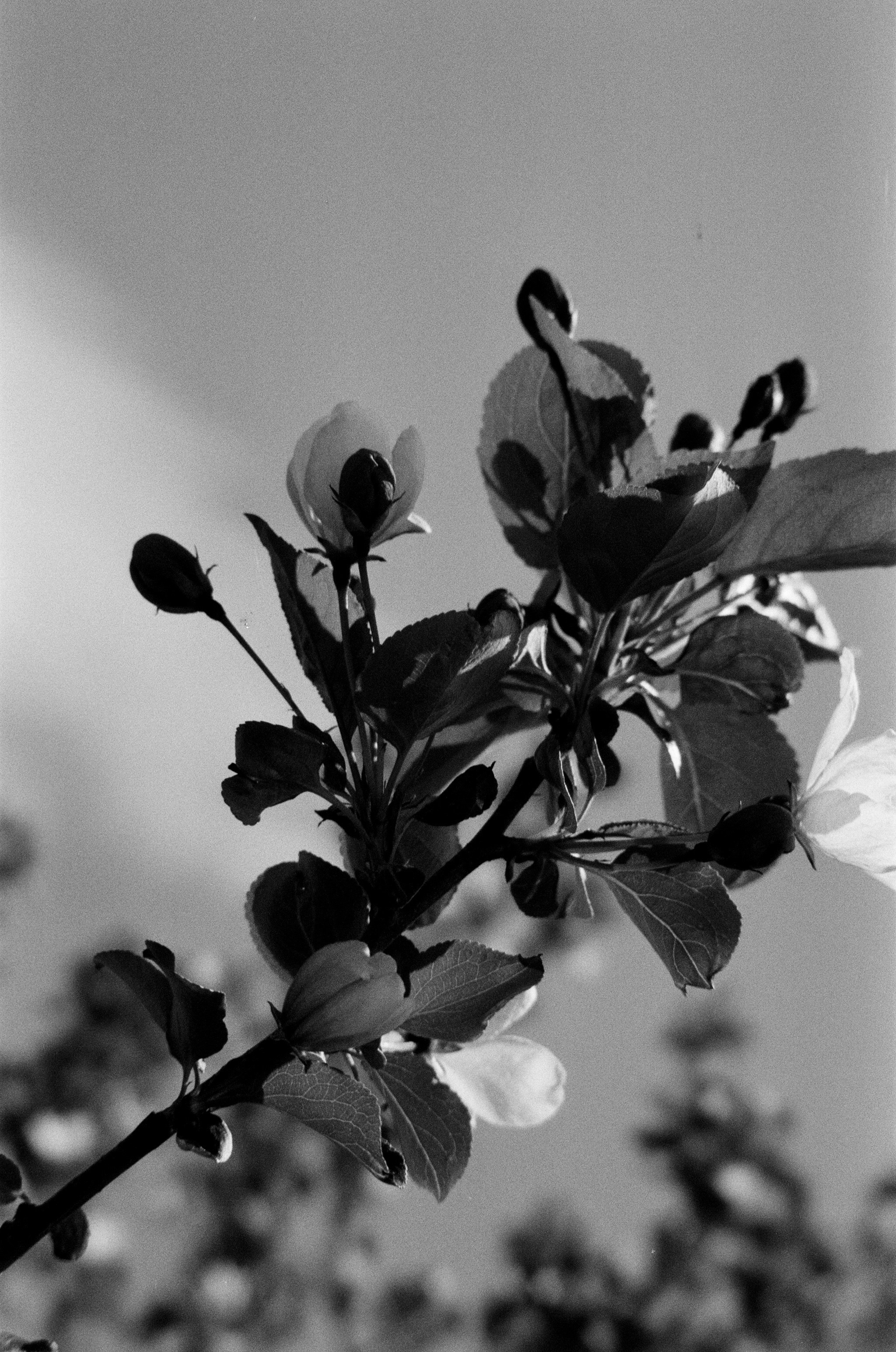 Портретный и предметный фотограф Елизавета Федорова