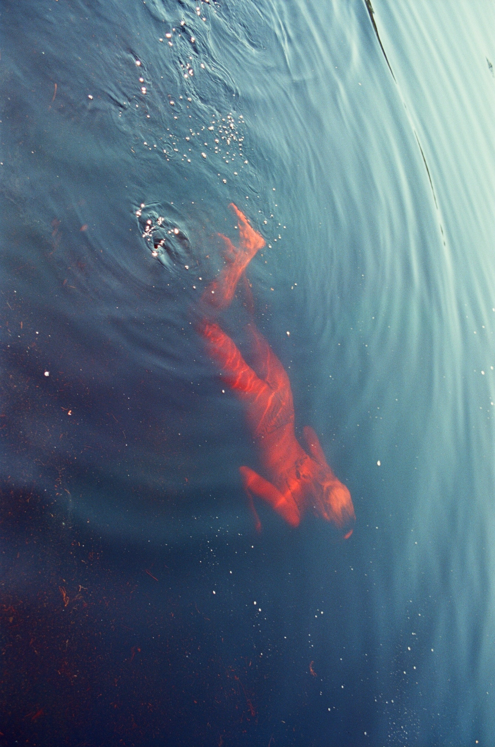 Астафьева Влада. ARTEXPOPHOTO