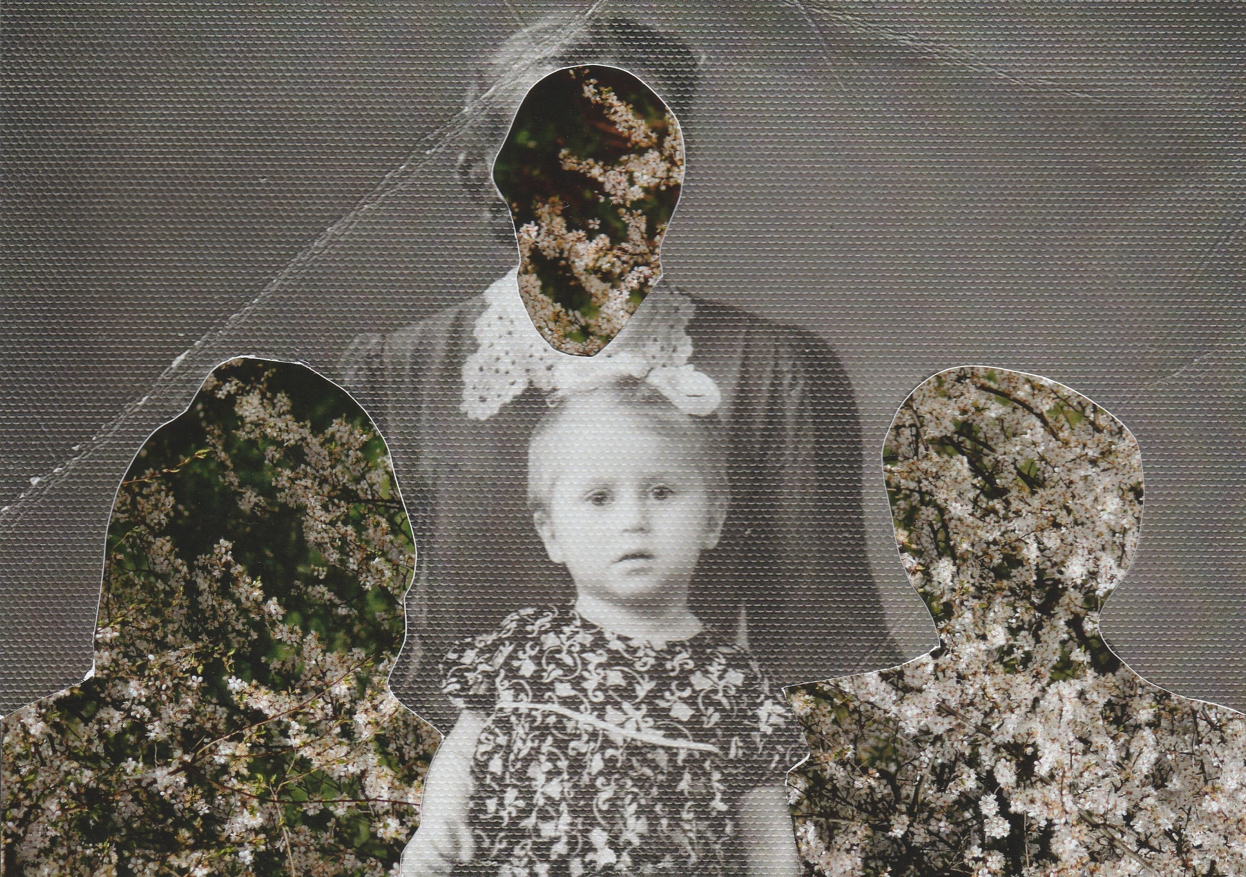 Плодовые (2024 — в процессе). Julia Gorbunova