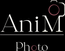 animphoto.ru