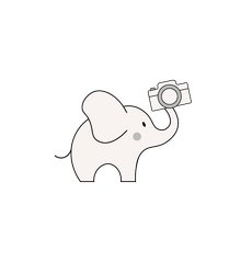 evgehomyakova.wfolio.pro