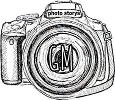 masyagin-gosha.wfolio.pro