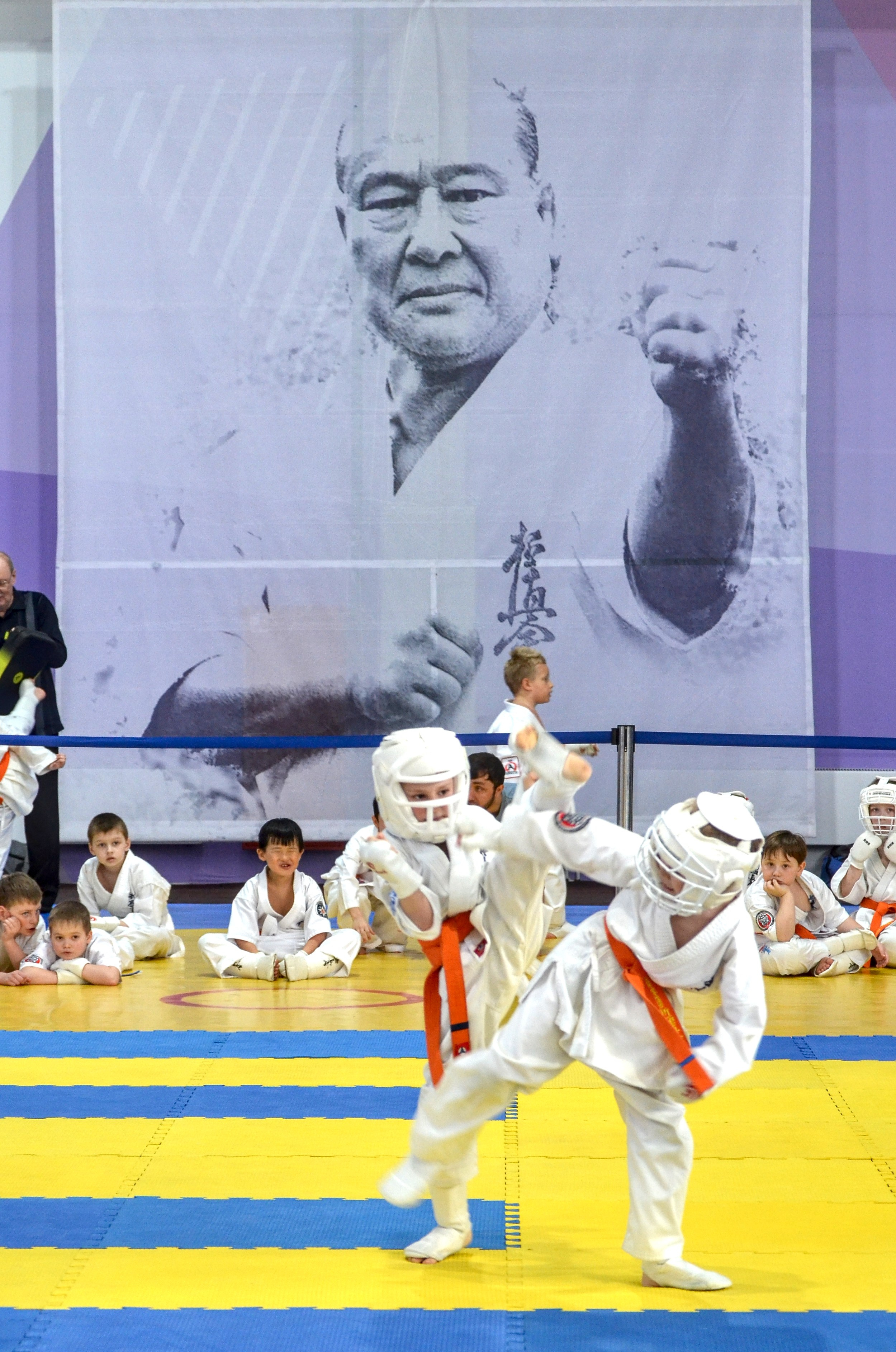 Киокусинкай карате