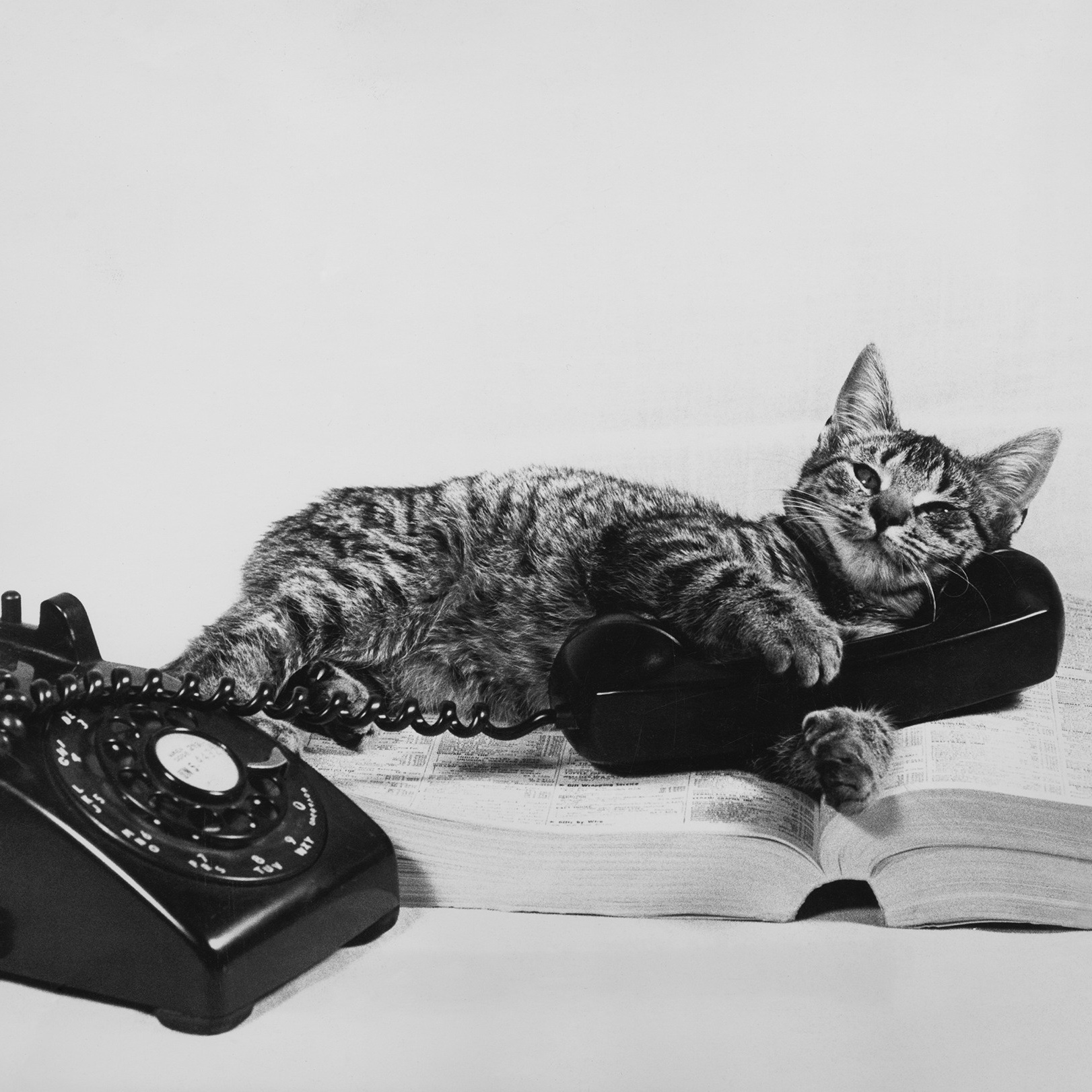 Контакты. Фотограф Юля Юнг