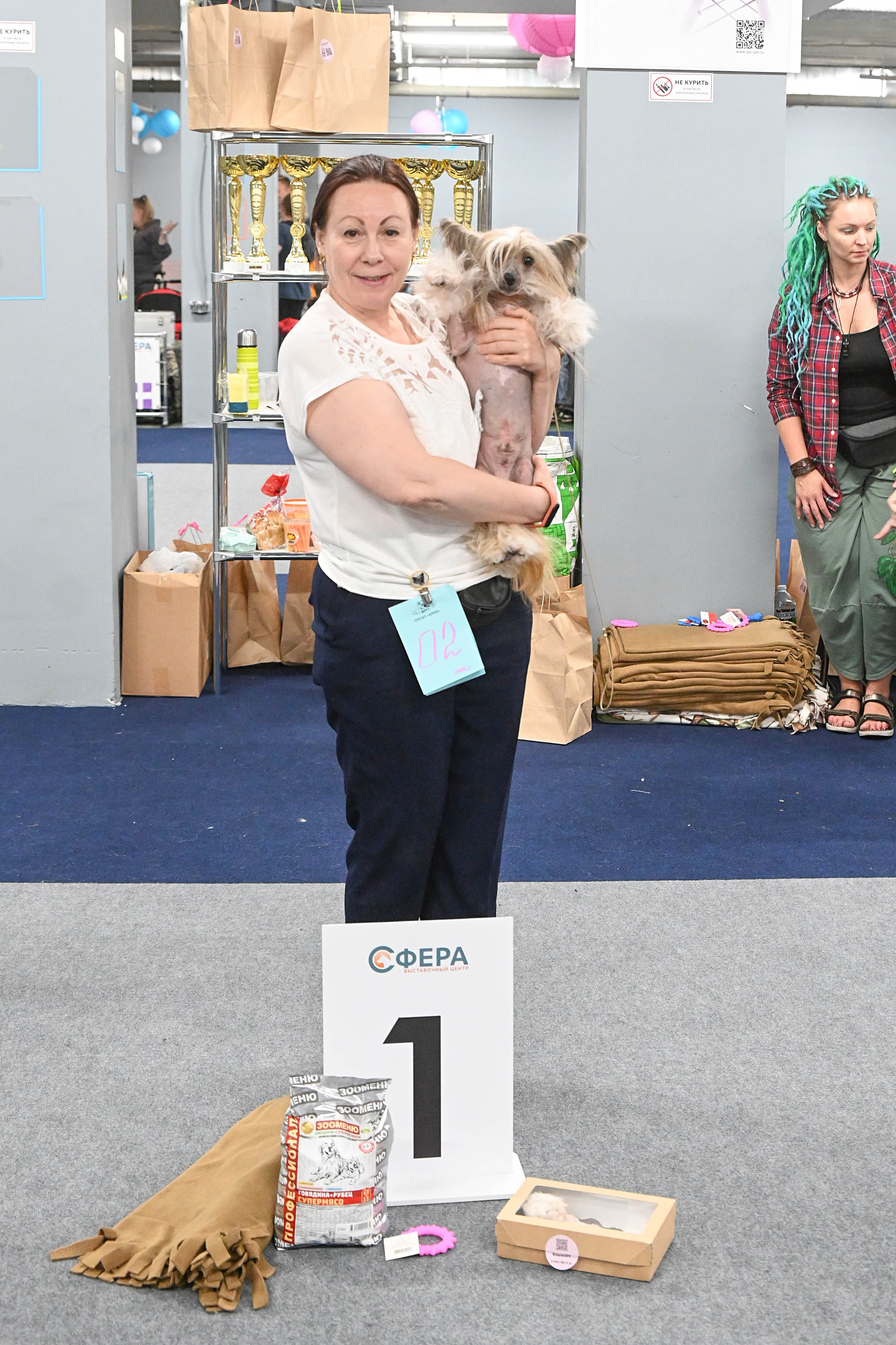 Moscow, Exhibition Center “Sfera”. Chester and Cooper at the exhibition. Chinese Crested Dog Kennel Poale Ell