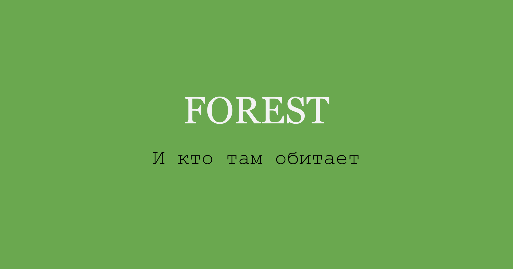 Что такое концепция и почему она важна для каждой съемки (почти). Портретный и fashion-фотограф в Санкт-Петербурге Олеся Поле