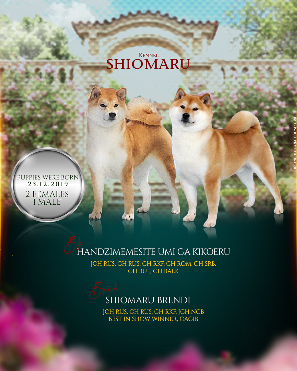 Litter S. SHIOMARU Shiba and Akita Inu Kennel