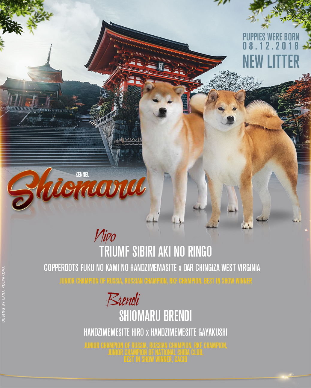LITTERS. SHIOMARU Shiba and Akita Inu Kennel