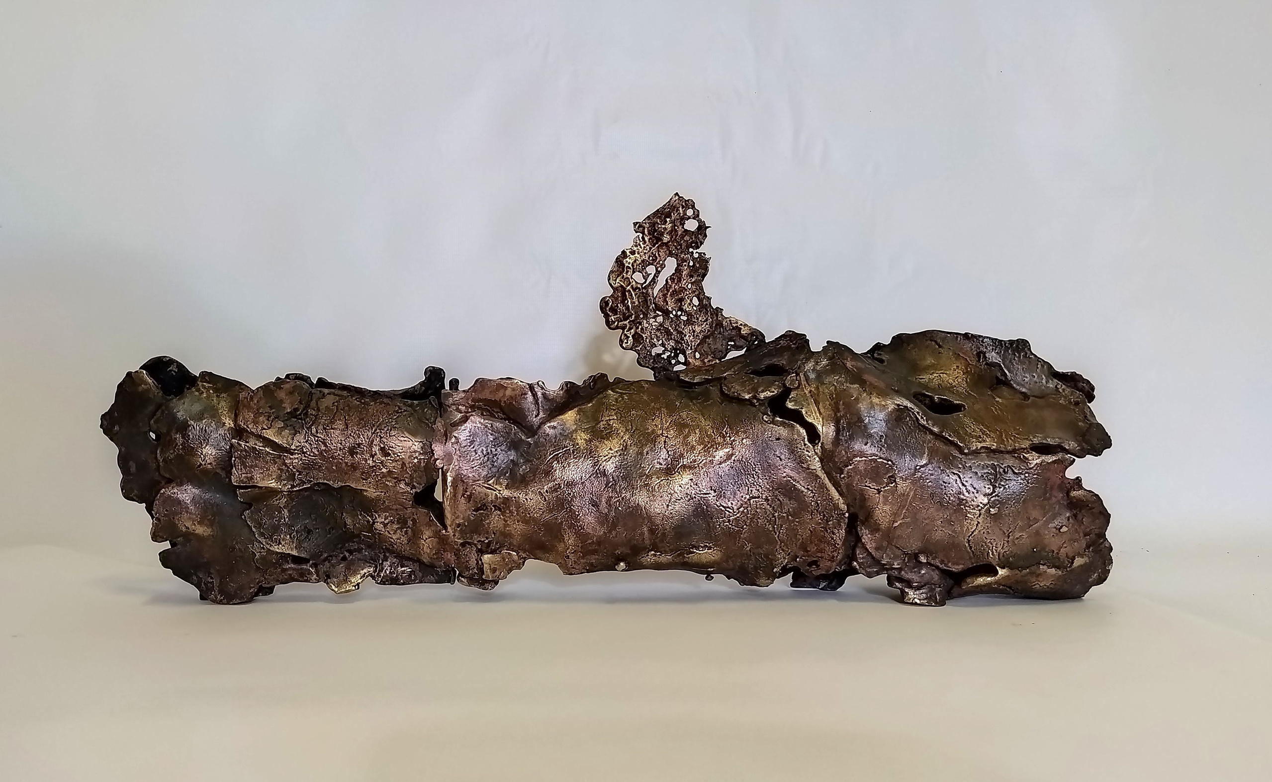 Юрий Шикин скульптура «Ископаемое номер 2». Декор для дома