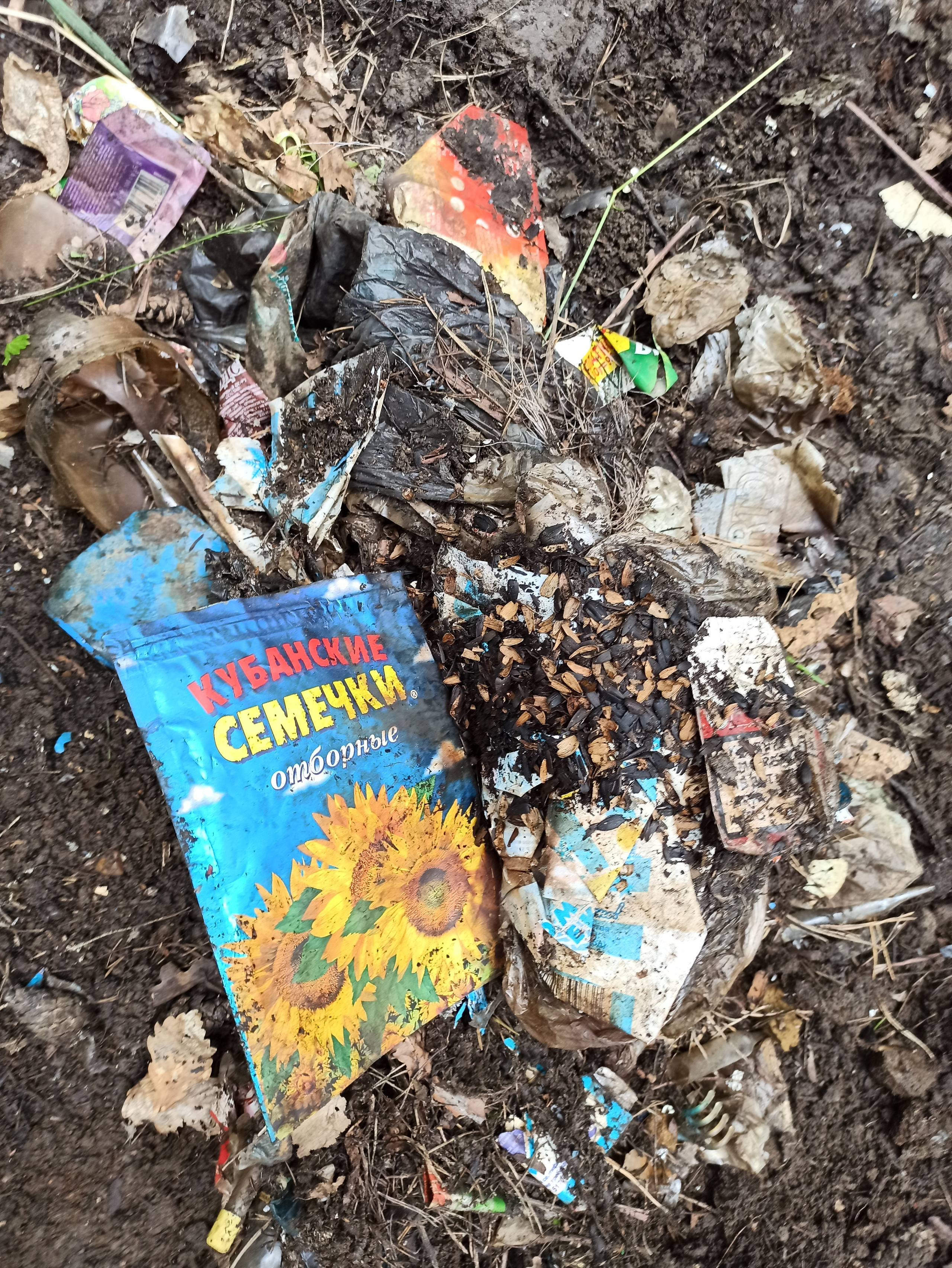 Осознанный землянин. Художник Рыбак Николай