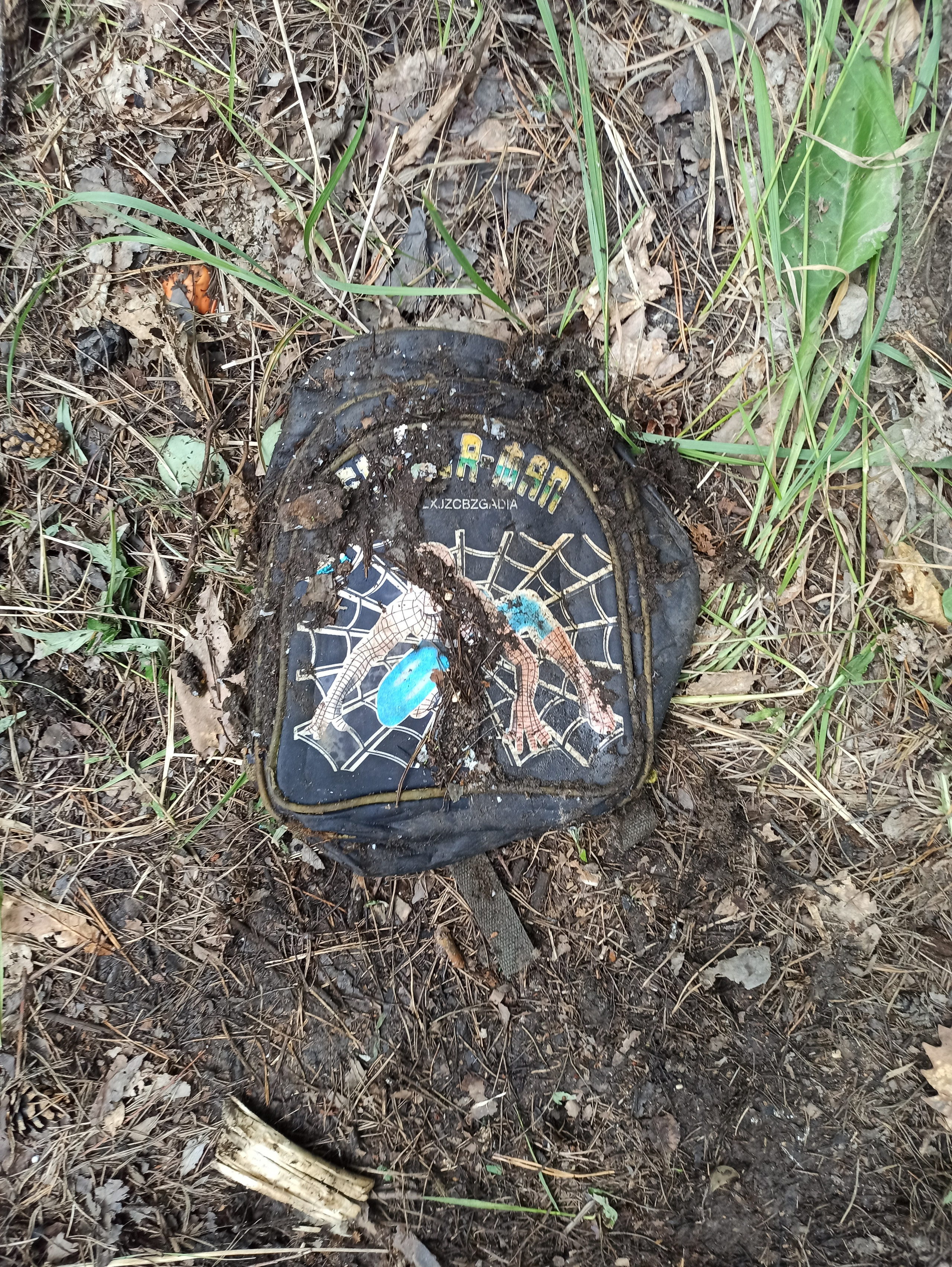 Осознанный землянин. Художник Рыбак Николай