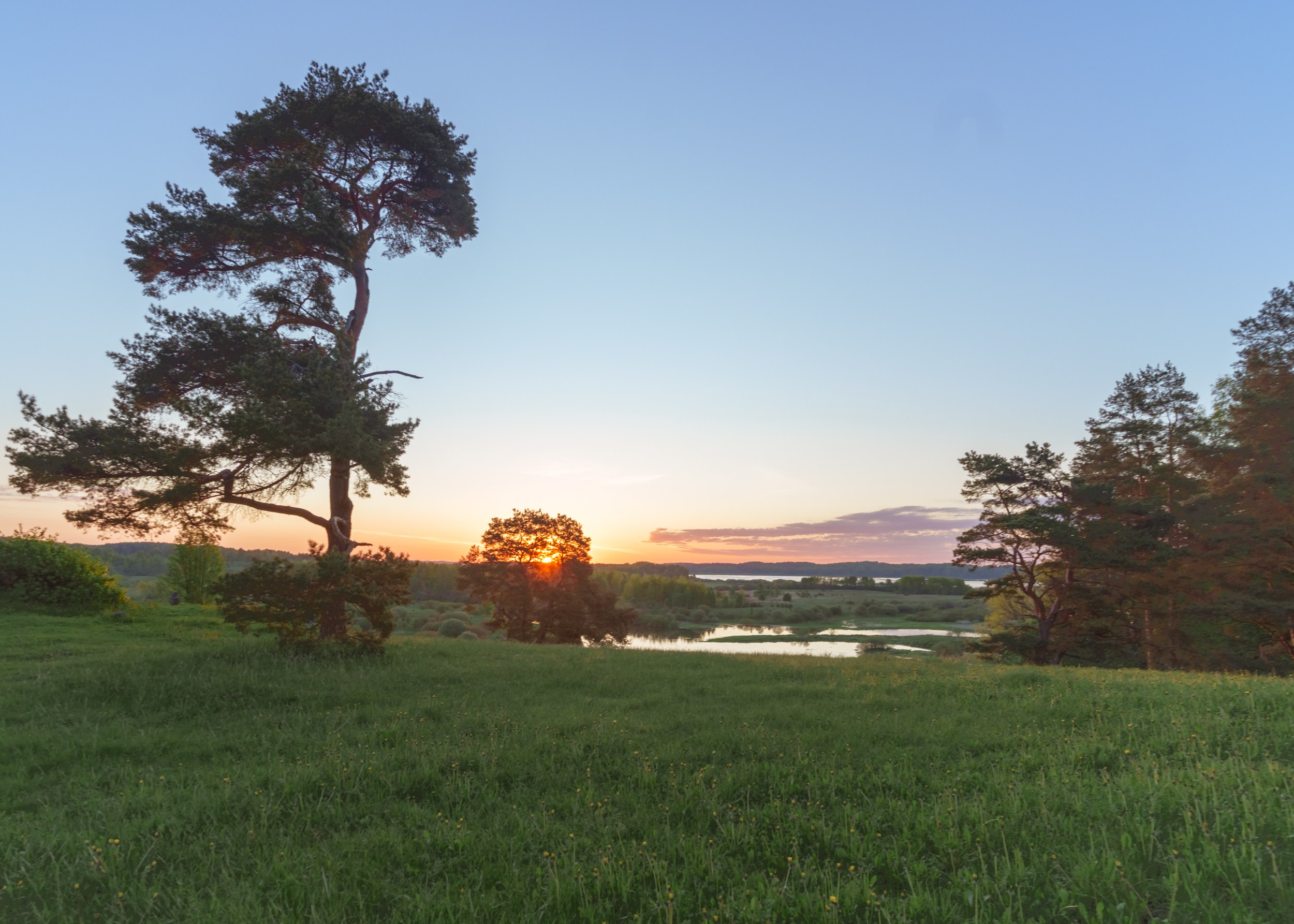 Landscape of the Pushkin Museum-Reserve in Mikhailovsky