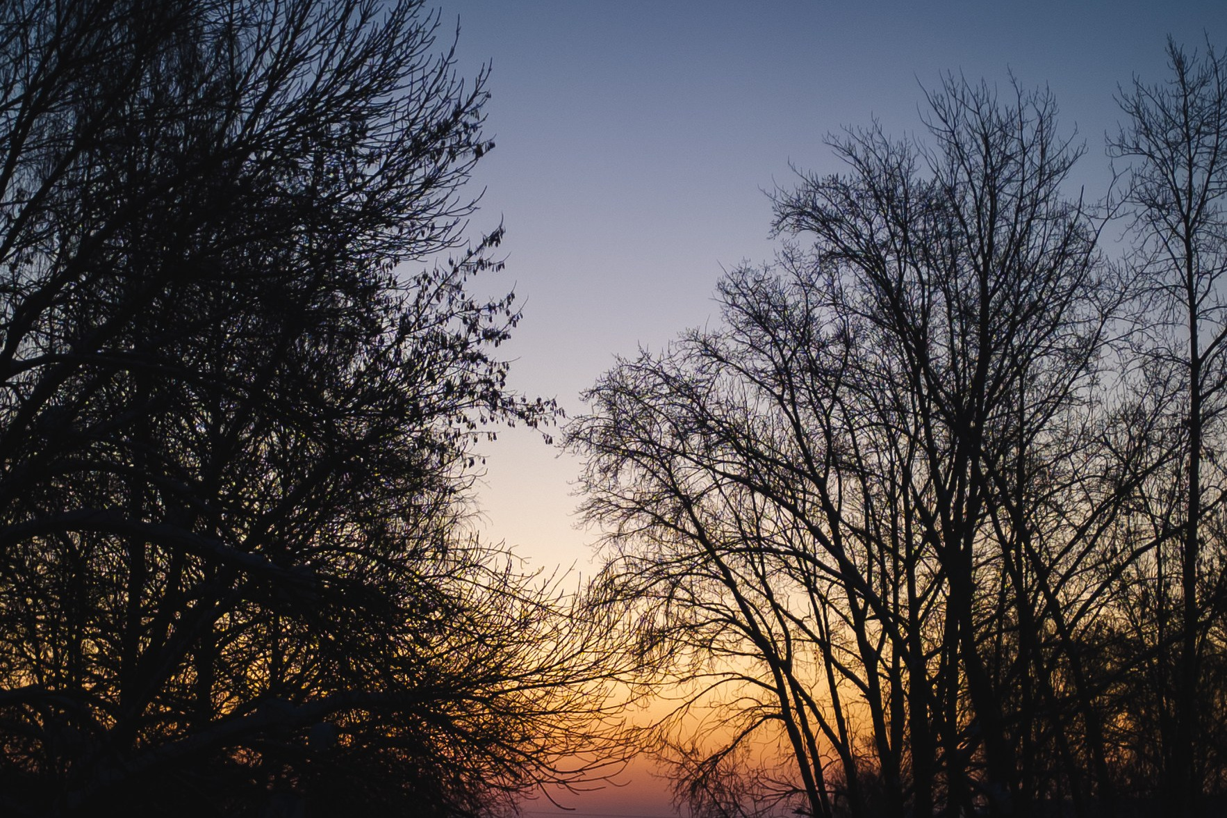Фоточеллендж «30 дней — 30 фото». Олег Романов. Мастер фото по спорту