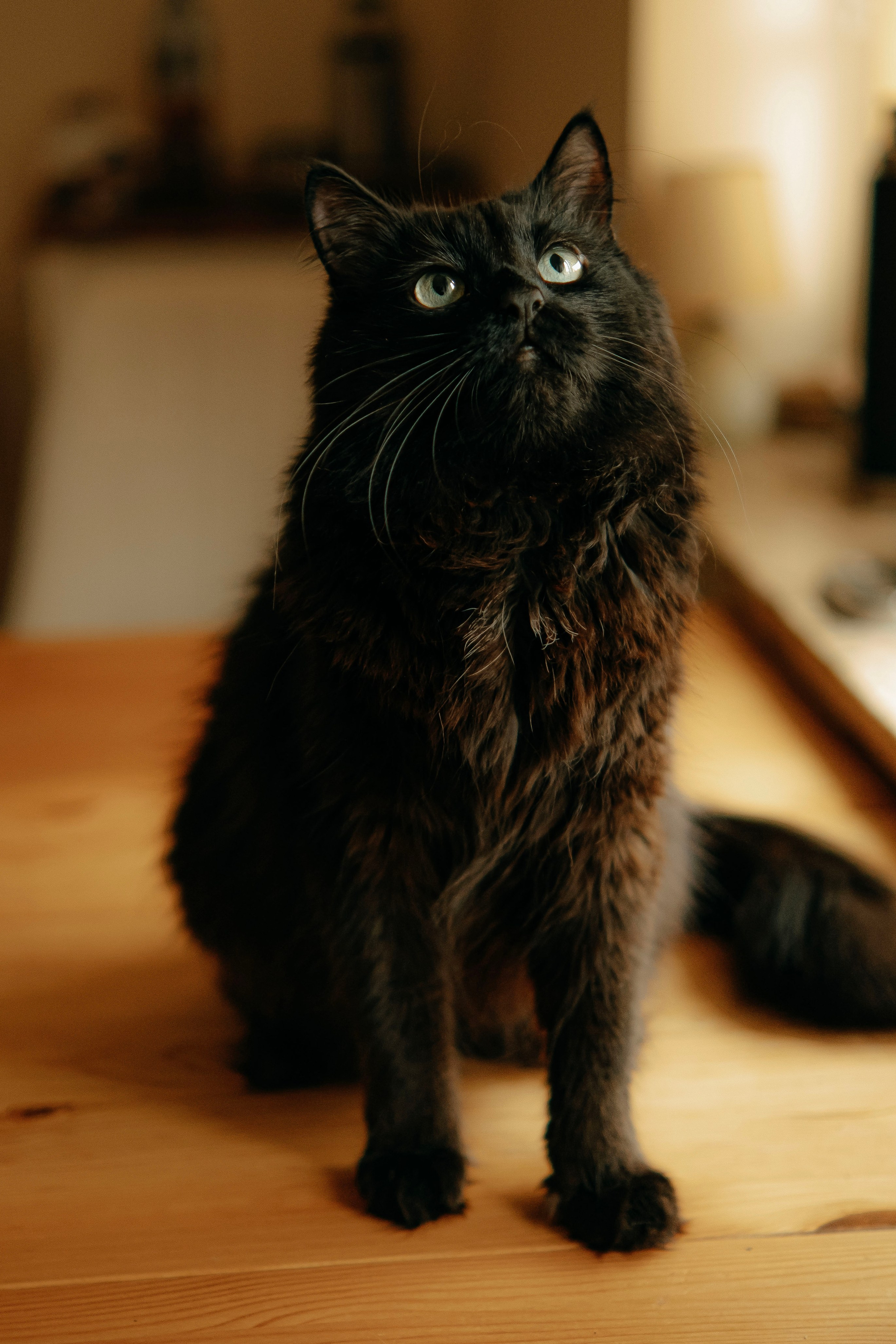 Фотограф и видеограф в Минске Мария Войтик