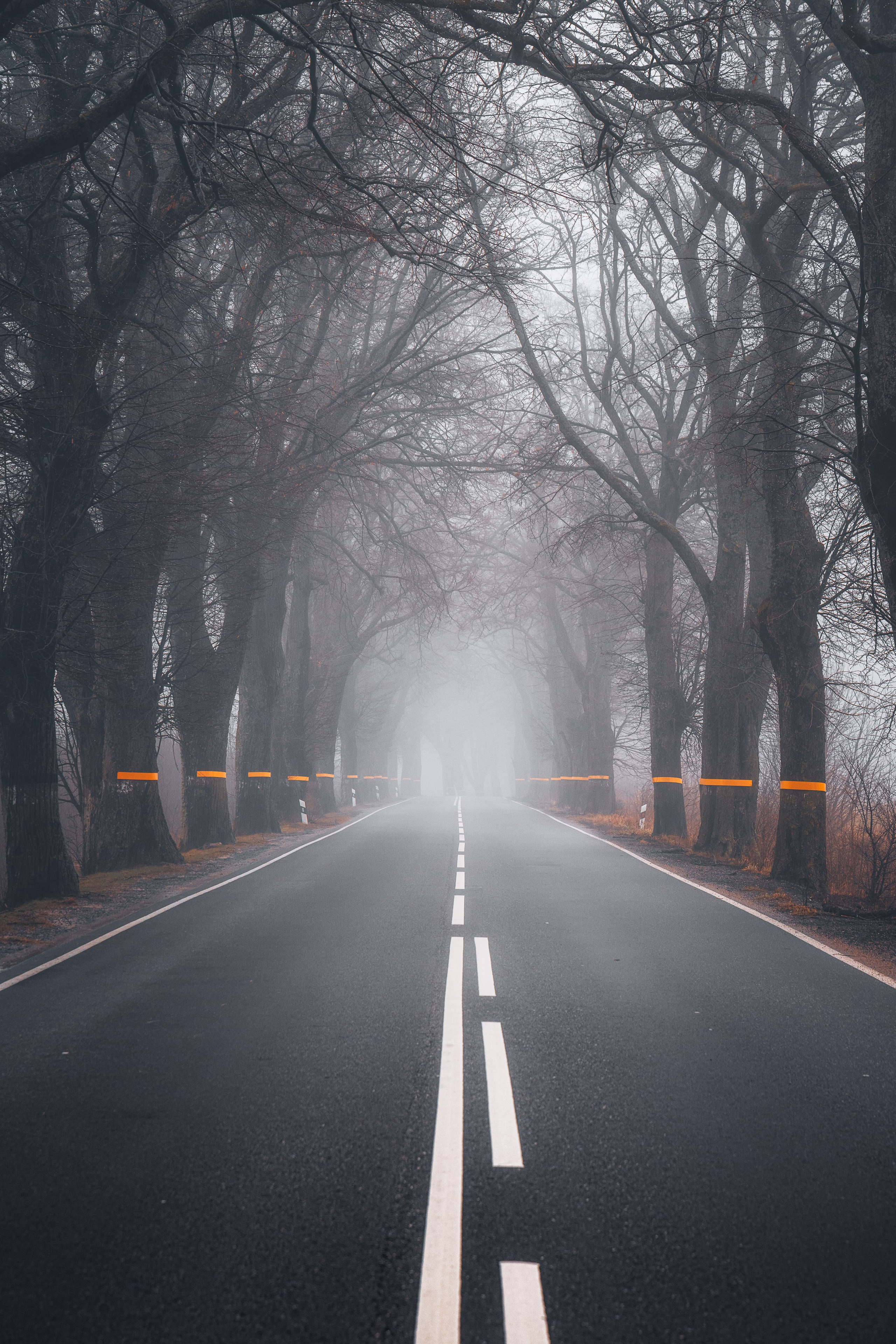 Калининградская область 19.10.2024 — 26.10.2024. Дмитрий Купрацевич профессиональный пейзажный и travel-фотограф