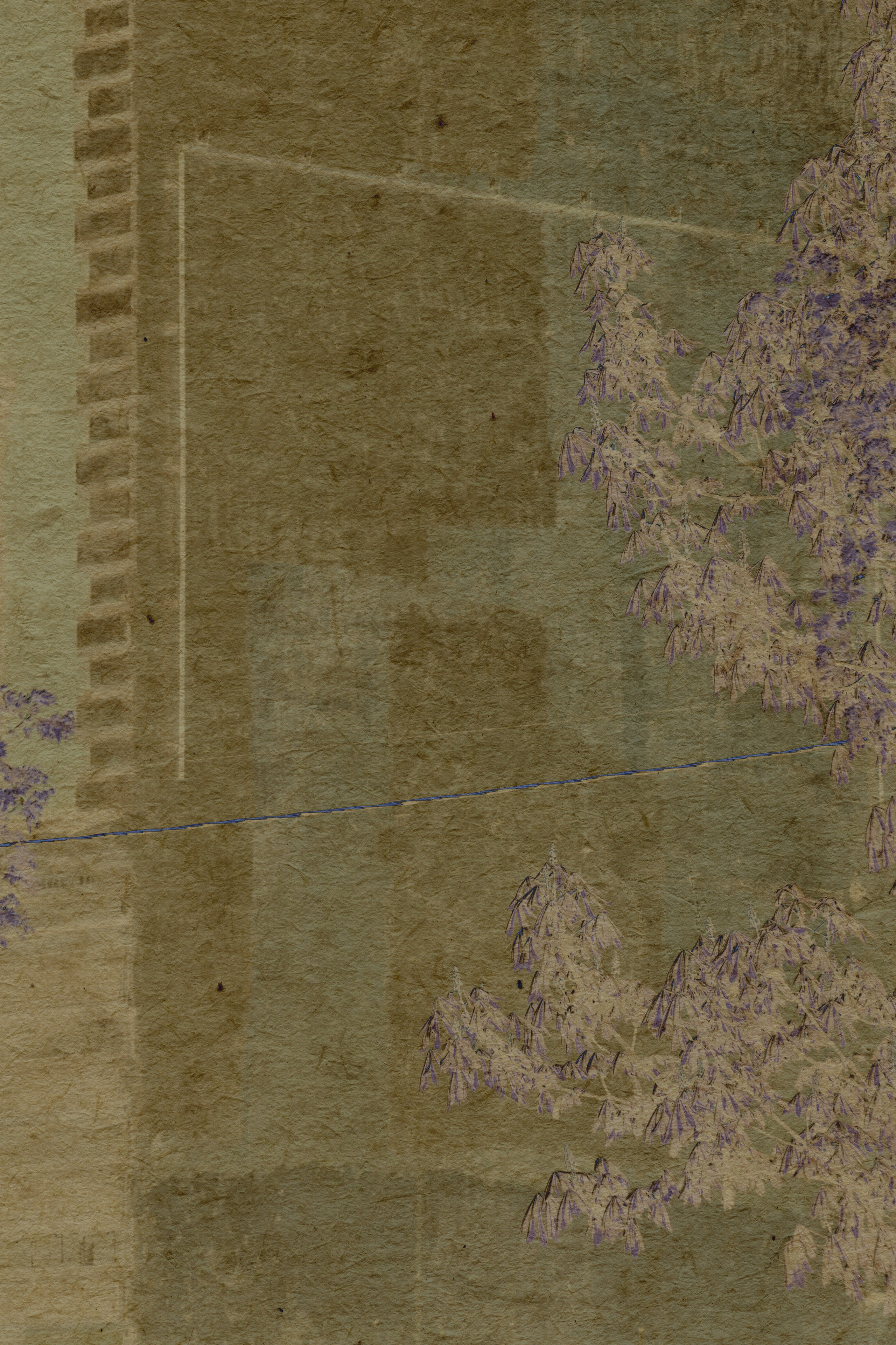 Lying on the grass. Anastasia Maryasova